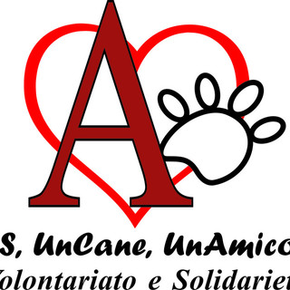 Sanremo: regolamento per la Tutela degli Animali, associazione Arkus: "Non siamo stati coinvolti!" Sanremo: regolamento per la Tutela degli Animali, associazione Arkus: "Non siamo stati coinvolti!"