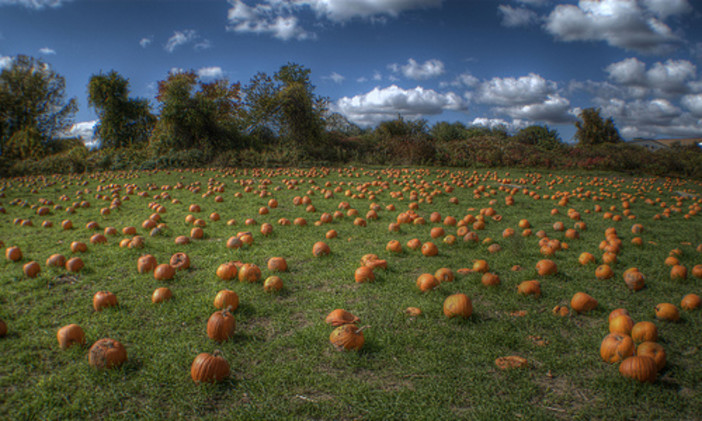 Tutti gli appuntamenti e manifestazioni da martedì 14 a domenica 19 ottobre, in Riviera e Côte d'Azur Tutti gli appuntamenti e manifestazioni da martedì 14 a domenica 19 ottobre, in Riviera e Côte d'Azur