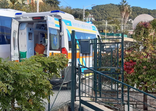 L'ambulanza oggi al canile