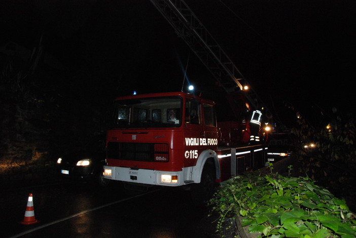 Vento forte in tutta la provincia: serie di interventi dei Vigili del Fuoco per rami caduti ed alberi pericolanti