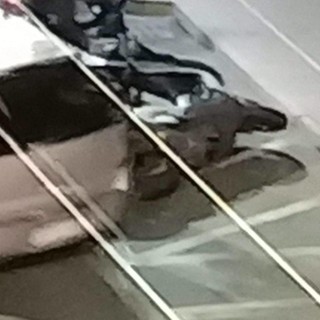 Vallecrosia, auto fa filotto di moto in via Aprosio e scappa: parte la denuncia