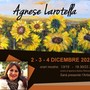 A Ospedaletti mostra di pittura di Agnese Margherita Larotella (Foto)