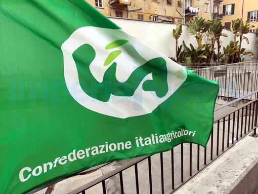 Bordighera: alla CIA di Imperia la gestione del “Mercato degli Agricoltori” fino al 2025