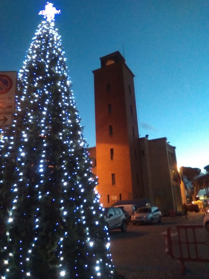 Ventimiglia: lavoro certosino degli operai comunali, torna a splendere l'albero di Natale sommerso dal fango (Foto) Ventimiglia: lavoro certosino degli operai comunali, torna a splendere l'albero di Natale sommerso dal fango (Foto)