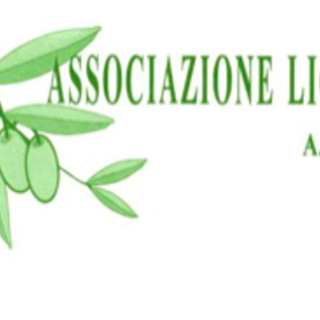Corso di 1° livello per assaggiatori d'olio organizzato dall'Associazione Ligure Olivicoltori