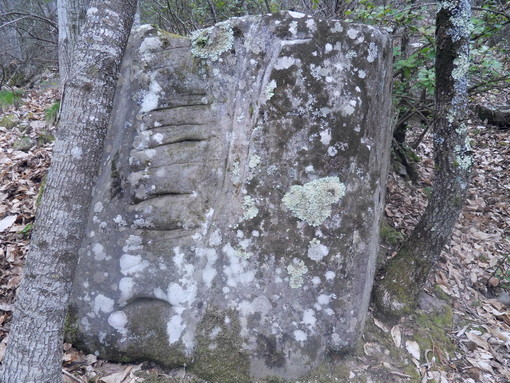 Il gruppo 'Archeonervia' annuncia la scoperta nell'entroterra di Sanremo di un altare con incisioni scaliformi