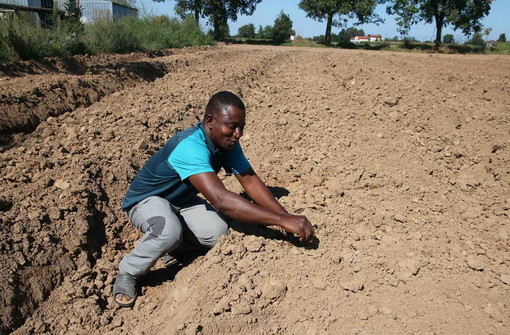 In tutta la Liguria il disagio di 4.500 lavoratori agricoli: la protesta dei sindacati Fai, Flai e Uila In tutta la Liguria il disagio di 4.500 lavoratori agricoli: la protesta dei sindacati Fai, Flai e Uila
