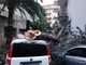 Sanremo: il vento forte sradica un albero in via Pietro Agosti, tre auto ed uno scooter danneggiati