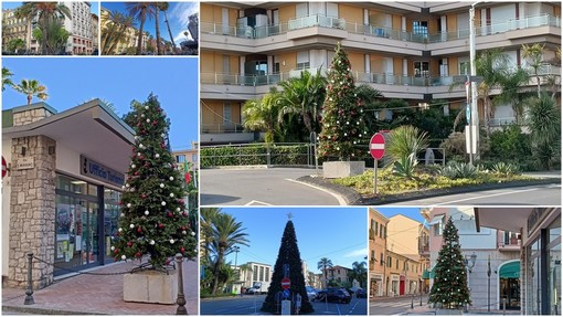 Bordighera verso il Natale, in città spuntano i primi addobbi (Foto e video) Bordighera verso il Natale, in città spuntano i primi addobbi (Foto e video)
