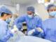 AAA cercasi medici libero professionisti AAA cercasi medici libero professionisti