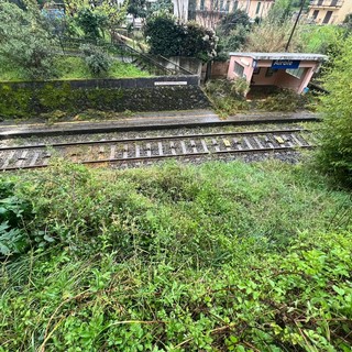 Airole, albero caduto sulla ferrovia: i complimenti di un nostro lavoro al sindaco