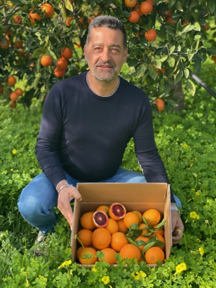 Il sapore della Sicilia è su Arancebio.it, vendita diretta di agrumi certificati
