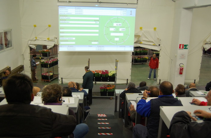 Sanremo: andamento positivo per le vendite all'Asta del Mercato dei Fiori