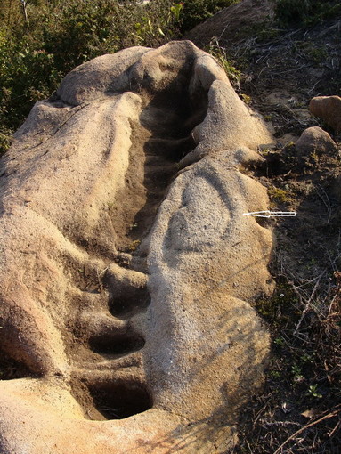 Vallebona località San Bernardo: scoperto un masso altare sacrificale e la schematizzazione di un volto