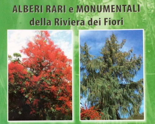 Domani pomeriggio alla libreria ‘Amicolibro’ di Bordighera la presentazione del libro “Alberi rari e monumentali della Riviera dei Fiori”