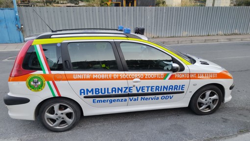 &quot;Salviamoli insieme&quot;: Emergenza Val Nervia Odv di Dolceacqua lancia raccolta fondi per acquistare una nuova ambulanza veterinaria (Foto)