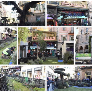 Festival: Federfiori ringrazia ‘Sanremo Piante’ per l’allestimento del ‘Green Carpet’ all’ingresso del Teatro Ariston Festival: Federfiori ringrazia ‘Sanremo Piante’ per l’allestimento del ‘Green Carpet’ all’ingresso del Teatro Ariston