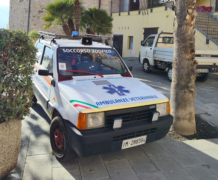 Ambulanze Veterinarie denuncia: "Email dell'Ordine dei veterinari intralciano la nostra attività"