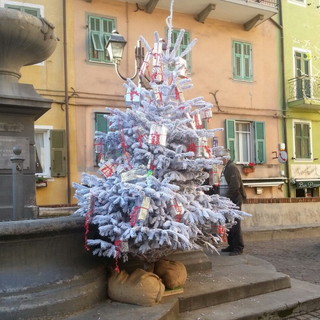 Sanremo: ecco l'albero di Natale esposto nella piazza centrale della frazione di Coldirodi Sanremo: ecco l'albero di Natale esposto nella piazza centrale della frazione di Coldirodi