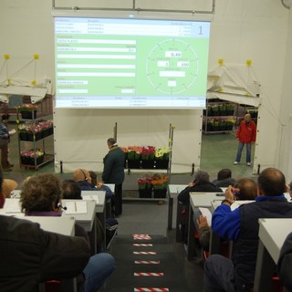 Sanremo: mese di novembre da incorniciare all'asta del Mercato dei Fiori, trend in costante ascesa