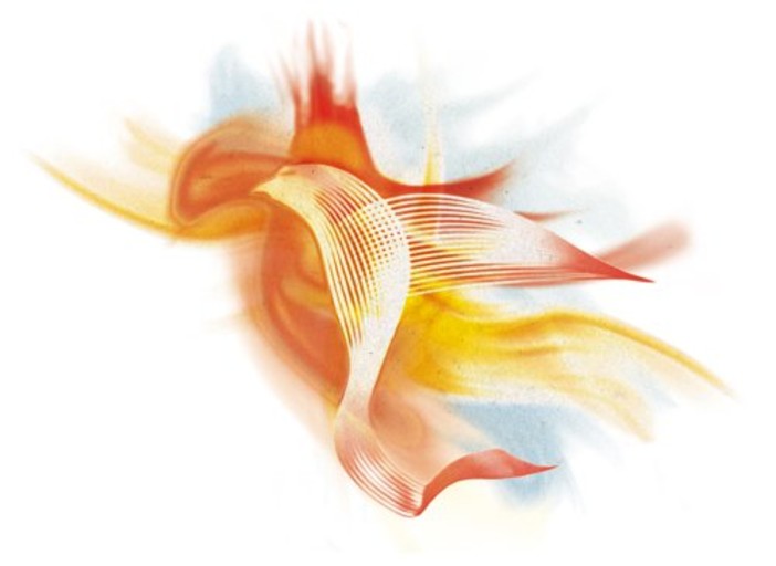 Imperia: sabato cena di autofinanziamento dell'Associazione Ornitologica Riviera dei Fiori Imperia: sabato cena di autofinanziamento dell'Associazione Ornitologica Riviera dei Fiori