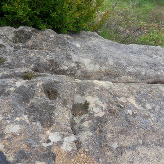 Vallebona: ‘Archeonervia’ scopre un altare sacrificale vicino al Redentore, trasposizione cristiana del culto delle vette Vallebona: ‘Archeonervia’ scopre un altare sacrificale vicino al Redentore, trasposizione cristiana del culto delle vette