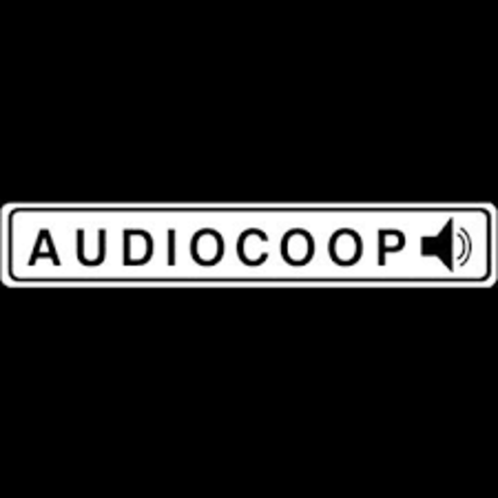 Proposta di Audio Coop per il prossimo Festival: “Maggiore risalto per le piccole etichette discografiche indipendenti