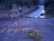Taggia: forti piogge di stanotte e stamattina, il Sindaco Conio chiude i giardini a scopo precauzionale (Foto) Taggia: forti piogge di stanotte e stamattina, il Sindaco Conio chiude i giardini a scopo precauzionale (Foto)