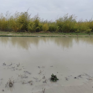 Ventimiglia: con Forza Italia e Azzurro Donna un gazebo per aiutare la Romagna colpita dall'alluvione Ventimiglia: con Forza Italia e Azzurro Donna un gazebo per aiutare la Romagna colpita dall'alluvione
