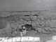 Vallecrosia: via Roma vicino ad Erio con l'asfalto in pessime condizioni, la segnalazione di un lettore (Foto) Vallecrosia: via Roma vicino ad Erio con l'asfalto in pessime condizioni, la segnalazione di un lettore (Foto)