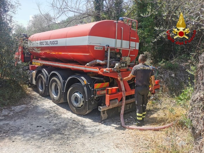 Sanremo: 51 mucche senz'acqua a Monte Bignone, ieri i Vigili del Fuoco hanno portato 15mila litri