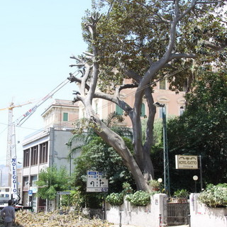 Sanremo: via Roma non riaprirà prima di domattina, questa notte bisognerà rifare anche l'asfalto (Foto)