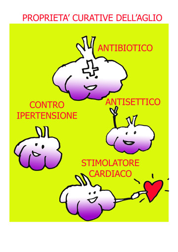 Aglio di Vessalico: non è solo buono, ma fa anche bene alla salute Aglio di Vessalico: non è solo buono, ma fa anche bene alla salute
