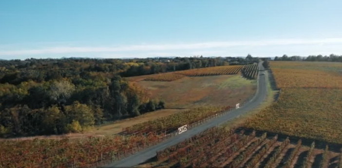 L’aumento dei costi colpisce l’intera filiera agroalimentare: cosa aspettarsi dal 2024? L’aumento dei costi colpisce l’intera filiera agroalimentare: cosa aspettarsi dal 2024?