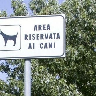 Ventimiglia, area e spiaggia riservate ai cani: approvata all'unanimità la mozione di D'Andrea Ventimiglia, area e spiaggia riservate ai cani: approvata all'unanimità la mozione di D'Andrea