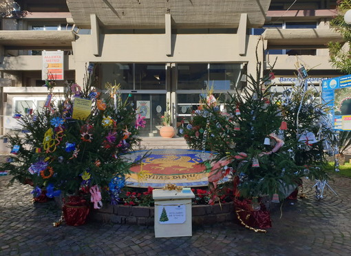 A Diano Marina “Vota l’albero che ti piace di più”: torna l’iniziativa di Confcommercio legata alle scuole del Golfo Dianese A Diano Marina “Vota l’albero che ti piace di più”: torna l’iniziativa di Confcommercio legata alle scuole del Golfo Dianese
