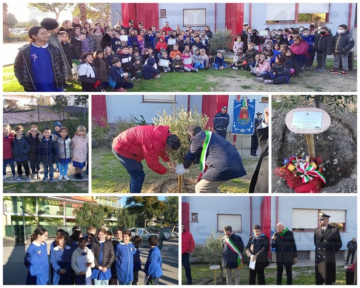 Bordighera, alla 'Rodari' l’Albero della Memoria e la targa per i cittadini deportati e uccisi nei campi di concentramento (Foto e video)