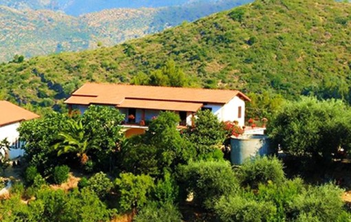 Camporosso: vini di proprietà, piatti tipici, degustazione e contatto con la natura all'Agriturismo Faroi Camporosso: vini di proprietà, piatti tipici, degustazione e contatto con la natura all'Agriturismo Faroi