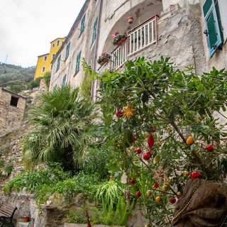 Verso le feste di fine anno: Badalucco si prepara a vivere la magia del Natale con luci, giochi e solidarietà nel cuore del paese