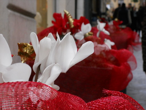 Sanremo: addobbi e decorazioni per il periodo di Natale e per il 70° Festival, il Comune detta le regole Sanremo: addobbi e decorazioni per il periodo di Natale e per il 70° Festival, il Comune detta le regole