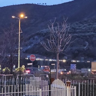 "Sento un ticchettio nella mia auto, è una bomba", A10 chiusa tra Borghetto e Pietra "Sento un ticchettio nella mia auto, è una bomba", A10 chiusa tra Borghetto e Pietra