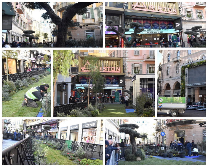 Festival: Federfiori ringrazia ‘Sanremo Piante’ per l’allestimento del ‘Green Carpet’ all’ingresso del Teatro Ariston