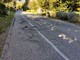 Sanremo: al via i lavori per la manutenzione degli asfalti sulla pista ciclabile, si parte lunedì prossimo