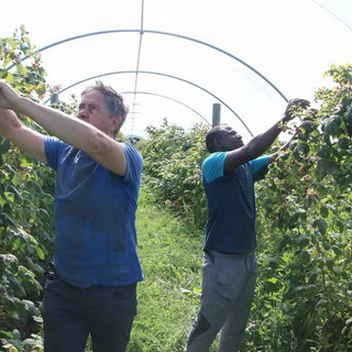 (immagine generica d'archivio)