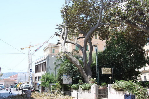 Sanremo: via Roma non riaprirà prima di domattina, questa notte bisognerà rifare anche l'asfalto (Foto) Sanremo: via Roma non riaprirà prima di domattina, questa notte bisognerà rifare anche l'asfalto (Foto)