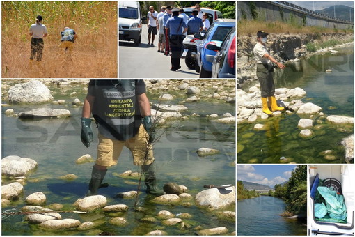 Riva Ligure: confermata l'ipotesi di aumento di salinità per la morte degli animali di domenica, escluso qualsiasi inquinamento