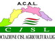 Sanremo: i problemi dell'UcFlor, le parole dell'Acal Cisl per il futuro della floricoltura Sanremo: i problemi dell'UcFlor, le parole dell'Acal Cisl per il futuro della floricoltura