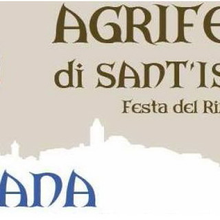 Ceriana: sabato 14 maggio tavola rotonda sul futuro dei vini della provincia di Imperia