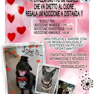 Con l'Enpa della nostra provincia l'adozione 'a distanza' degli ospiti del canile da donare per San Valentino