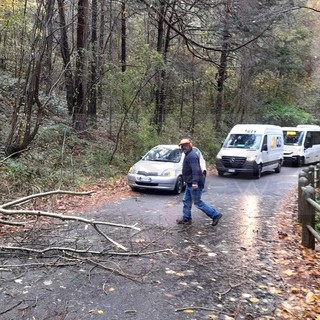 Maltempo sulla nostra provincia: Vigili del Fuoco al lavoro per liberare alcune strade da alberi caduti Maltempo sulla nostra provincia: Vigili del Fuoco al lavoro per liberare alcune strade da alberi caduti
